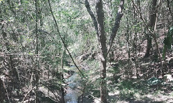 Jack Brooks Mountain Bike Trail Head