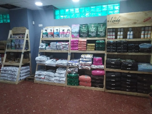 Mascotas Vtm - Sevilla