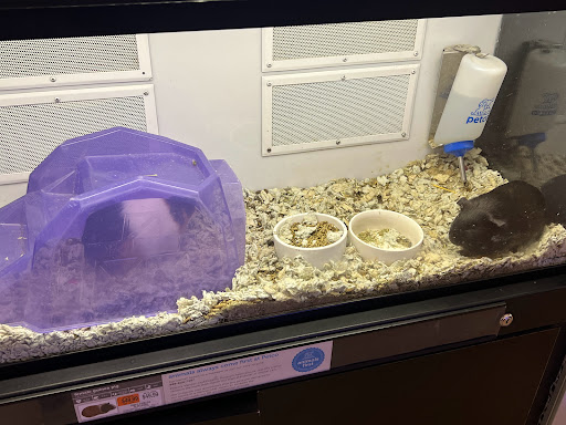 Pet Supply Store «Petco Animal Supplies», reviews and photos, 2230 Marlton Pike W #3, Cherry Hill, NJ 08002, USA