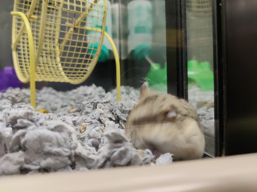 Pet Supply Store «PetSmart», reviews and photos, 700 N Milwaukee Ave, Vernon Hills, IL 60061, USA