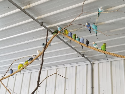 Zoo «Special Memories Zoo», reviews and photos, W7013 Spring Rd, Greenville, WI 54942, USA