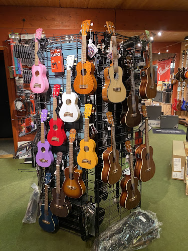 Anmeldelser af Bjørnholt Musik ApS i Odense - Musikbutik