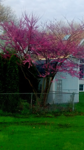 Community Center «Heritage Park», reviews and photos, 506 W Victoria Ln, Arlington Heights, IL 60005, USA