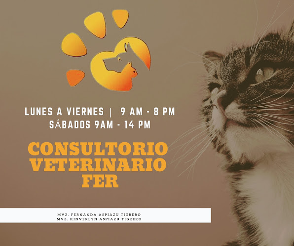 Consultorio Veterinario Fer - Durán