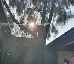 Carenina. Vegan Bistro. photo