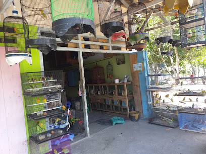 Bagas Bird Shop