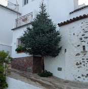 Museo de la Castaña - 29450 Pujerra, Málaga