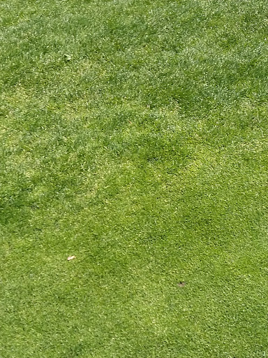 Golf Course «Gresham Golf Course», reviews and photos, 2155 NE Division St, Gresham, OR 97030, USA