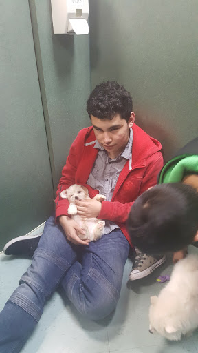 Pet Store «Petland», reviews and photos, 2123 Old Hudson Rd, St Paul, MN 55119, USA