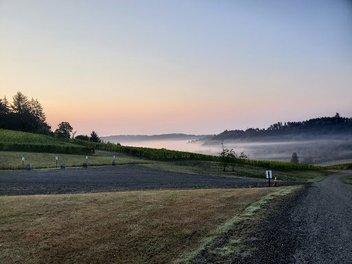 Vineyard «Coeur De Terre», reviews and photos, 21000 SW Eagle Point Rd, McMinnville, OR 97128, USA