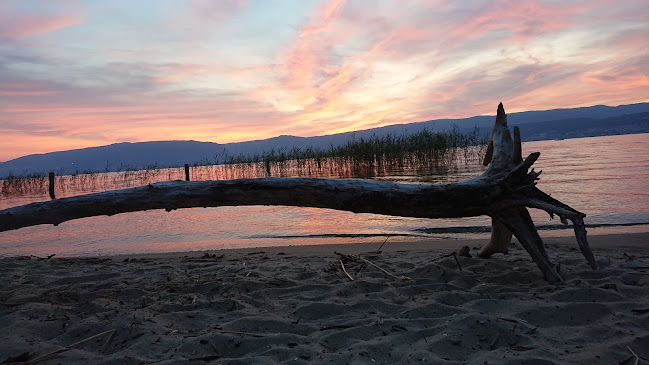 Comentarii opinii despre Plage communale publique de Chabrey