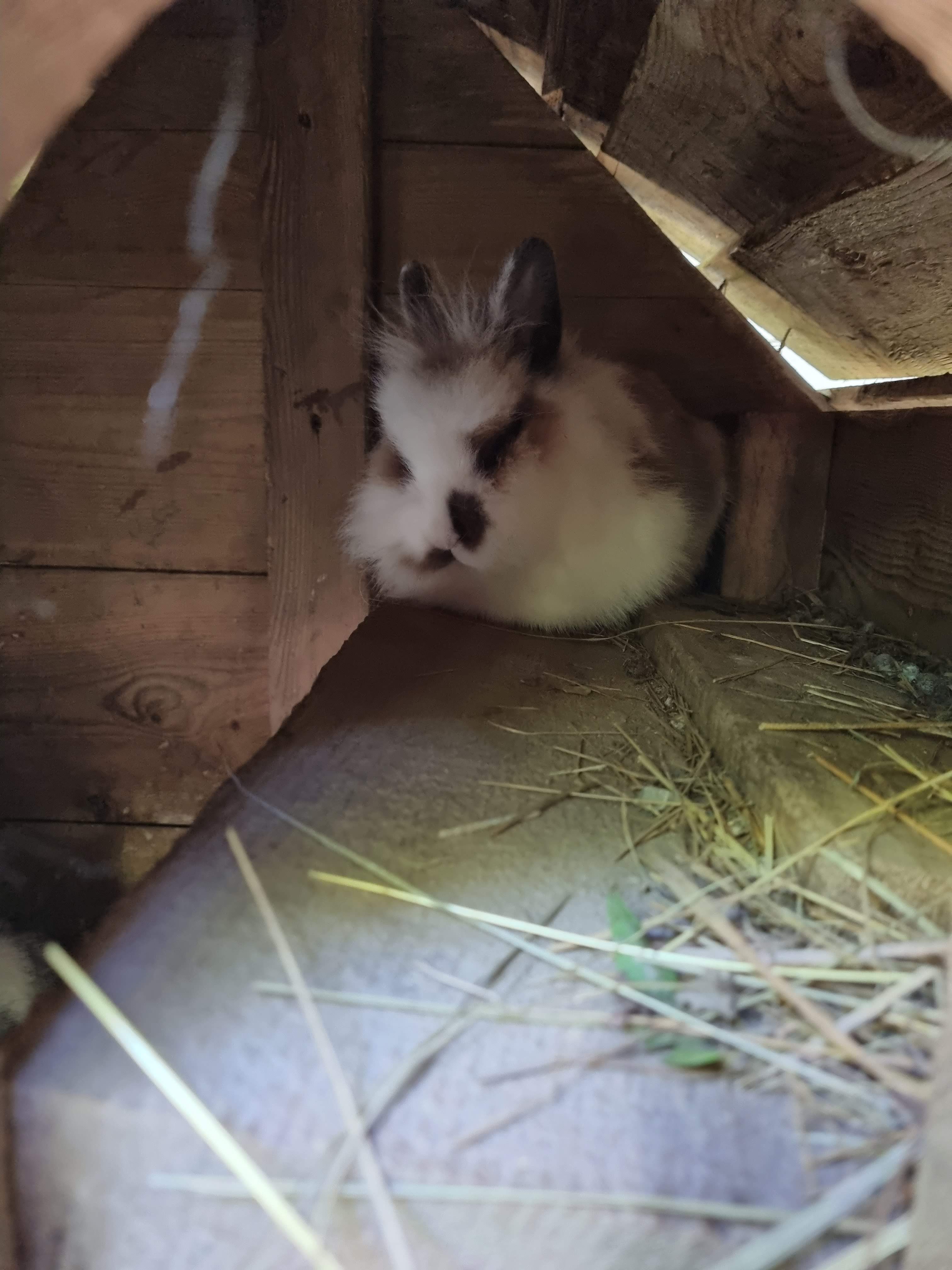 Photo n° 10 de l'avis de Laetitia.a fait le 27/08/2022 à 15:00