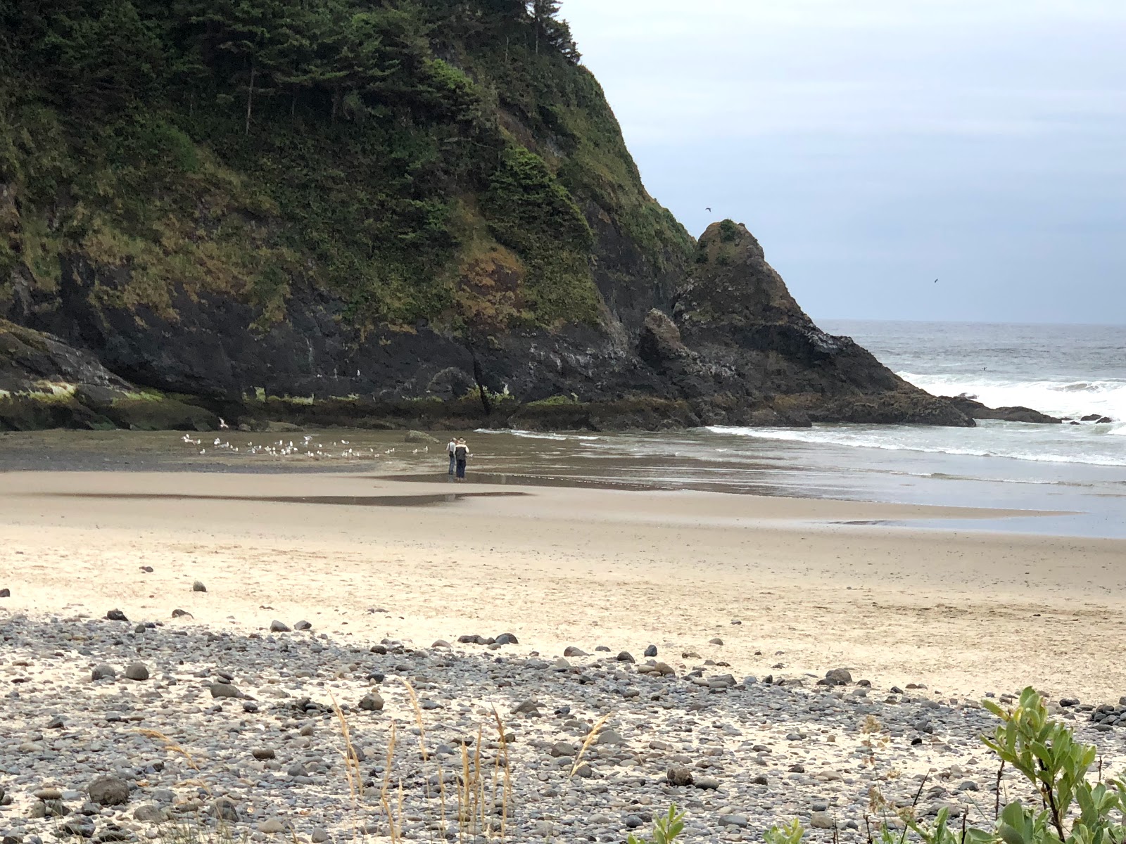 Foto de Heceta Head Beach e o assentamento