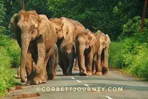 Corbett Journey image