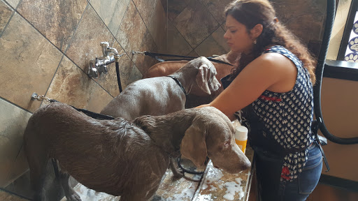 Pet Store «Pet Valu», reviews and photos, 134 S Ridge St, Rye Brook, NY 10573, USA