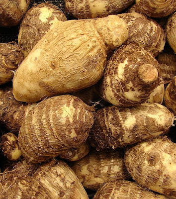EXOTIQUE DU MONDE à Corbeil-Essonnes