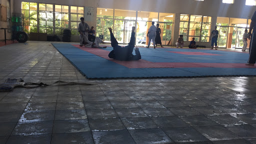 BJJ UASD