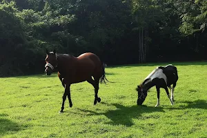 那須 ウエスタンファーム 乗馬 ふれあい動物 image