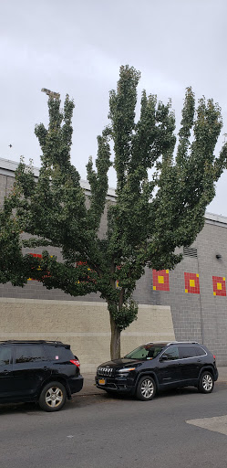 Movie Theater «UA Kaufman Astoria Cinemas 14 & RPX», reviews and photos, 35-30 38th St, Astoria, NY 11101, USA