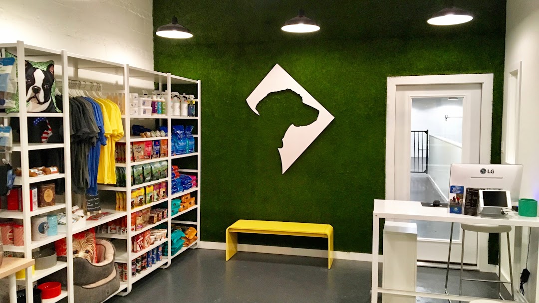 District Dogs Park View