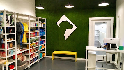 AF1QipOcWO2jPJhqngkO7gMt2gZMj9wPA0ioPsSA_po=w426-h240-k-no