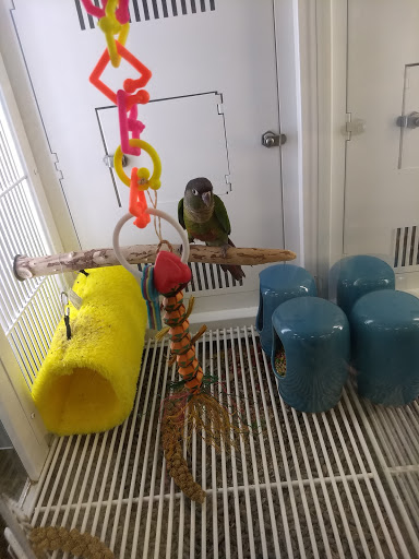 Pet Supply Store «Petco Animal Supplies», reviews and photos, 2204 Harlem Ave, North Riverside, IL 60546, USA