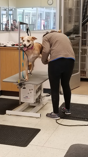 Pet Supply Store «Petco Animal Supplies», reviews and photos, 25 Hazard Ave, Enfield, CT 06082, USA