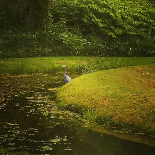 Park «Mill Creek Canyon Earthworks Park», reviews and photos, 100 Reiten Rd, Kent, WA 98030, USA