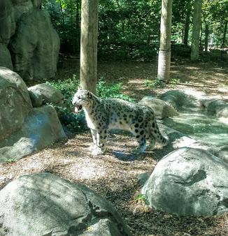 Lincoln Children's Zoo