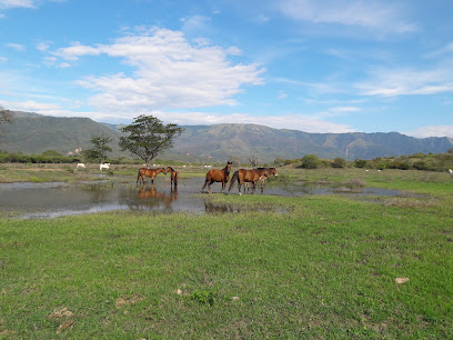Hacienda Rancho Luna