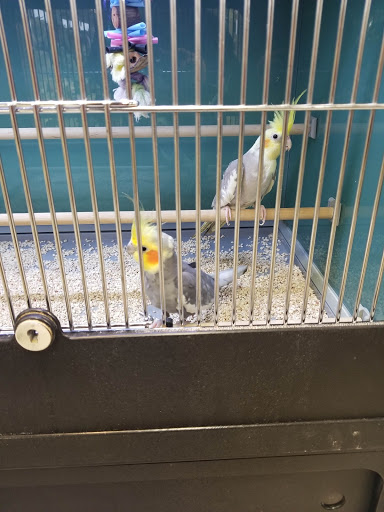 Pet Supply Store «Mellisa’s PET DEPOT», reviews and photos, 83 Faunce Corner Mall Rd, Dartmouth, MA 02747, USA
