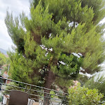 Photo n°4 de l'avis de Anto.n fait le 14/07/2023 à 20:06 sur le  Hotel Tonino à Recanati