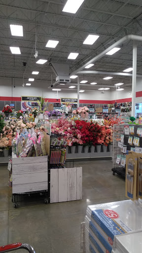 Craft Store «Michaels», reviews and photos, 2717 Market Center Dr, Rockwall, TX 75032, USA