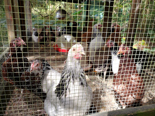 Nature Preserve «Tree Hill Nature Center», reviews and photos, 7152 Lone Star Rd, Jacksonville, FL 32211, USA