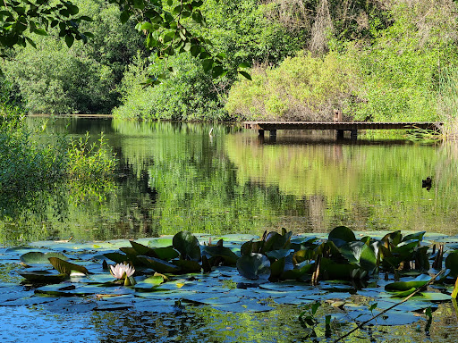 Park «West Hylebos Wetlands Park», reviews and photos, 411 S 348th St, Federal Way, WA 98003, USA