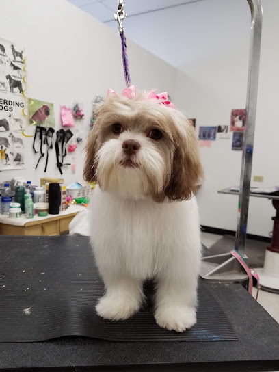 Master's Pride Dog Grooming Boutique
