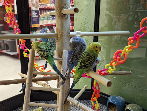 Pet Supply Store «Petco Animal Supplies», reviews and photos, 2230 Marlton Pike W #3, Cherry Hill, NJ 08002, USA