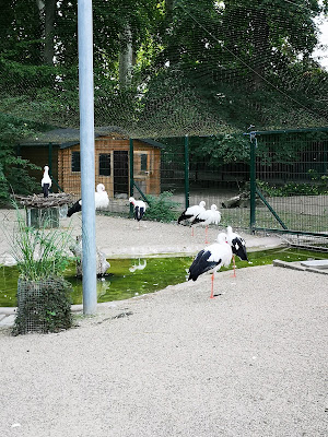 Mini-ferme de l'Orangerie à Strasbourg