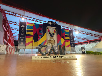 Icono a Cali Ciudad Deportiva
