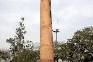 Delhi-Topra Ashokan Pillar image