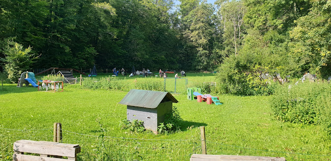 Rezensionen über hundeschule fit for fun in Reinach - Hundeschule