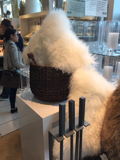 Furniture Store «Crate and Barrel», reviews and photos, 555 Bellevue Way NE, Bellevue, WA 98004, USA