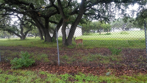 Park «McGimsey Scout Park», reviews and photos, 10810 Wedgewood Dr, San Antonio, TX 78230, USA