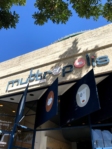 Pet Store «Muttropolis La Jolla», reviews and photos, 7755 Girard Ave, La Jolla, CA 92037, USA