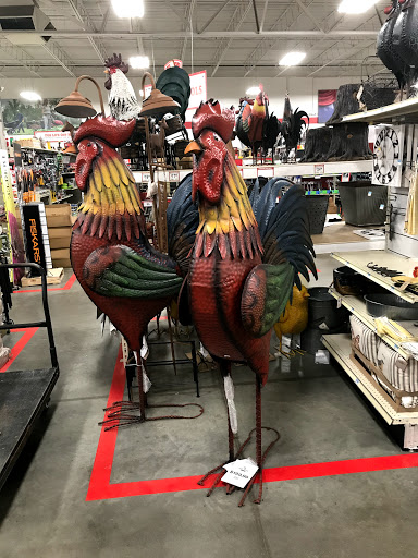 Home Improvement Store «Tractor Supply Co.», reviews and photos, 27400 Tomball Pkwy, Tomball, TX 77375, USA