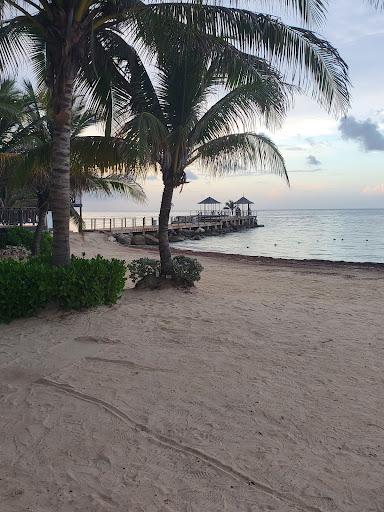 Insurance Agency «AAA Insurance», reviews and photos