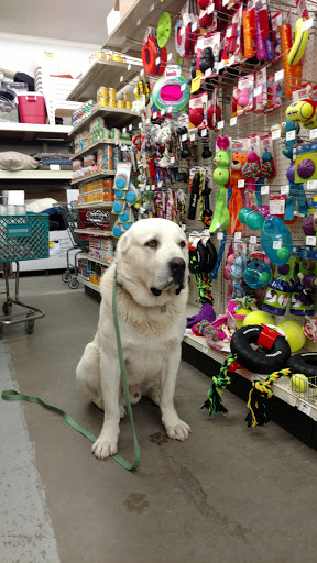 Farm Equipment Supplier «Family Farm & Home», reviews and photos, 66875 Gratiot Ave, Richmond, MI 48062, USA