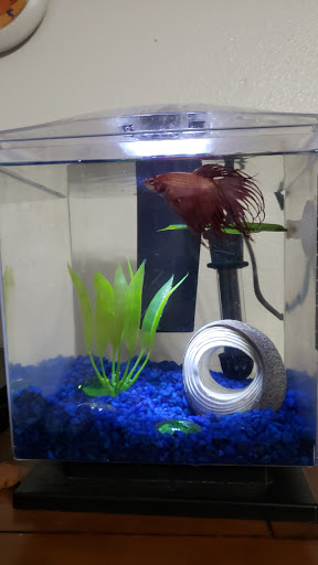 Pet Store «Pet World - Auburndale», reviews and photos, 3637 Havendale Blvd, Auburndale, FL 33823, USA