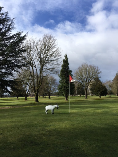 Golf Course «Frontier Golf Course», reviews and photos, 2965 N Holly St, Canby, OR 97013, USA