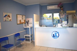 Clinica Veterinaria Castelli image